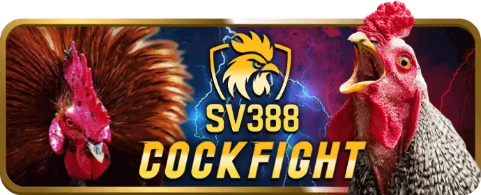 Vòng quay miễn phí pun88 login